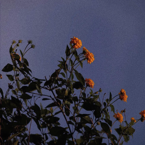 偷偷色无码av免费看
