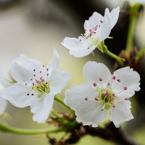 偷偷色无码av免费看
